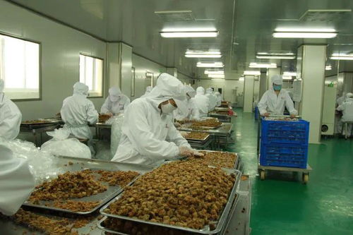 太和農產品加工產業園入選省行動計劃，聚焦食用農產品初加工高質量發展