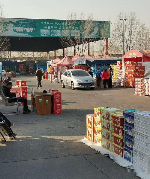 做水果生意，必須知道的5大水果一級(jí)批發(fā)市場(chǎng)與食用農(nóng)產(chǎn)品初加工要點(diǎn)