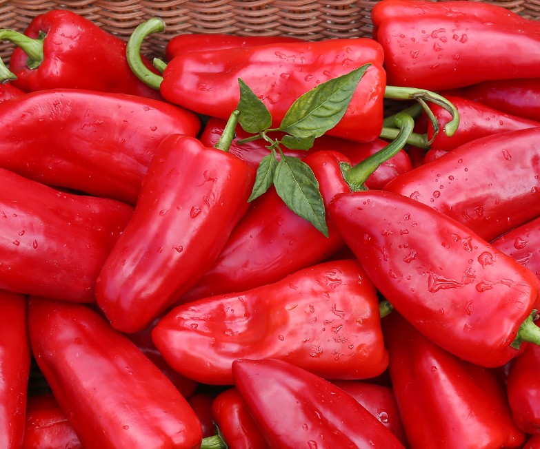 紅火饋贈(zèng) 農(nóng)家現(xiàn)摘大紅尖椒，鮮辣與甘甜的完美交融